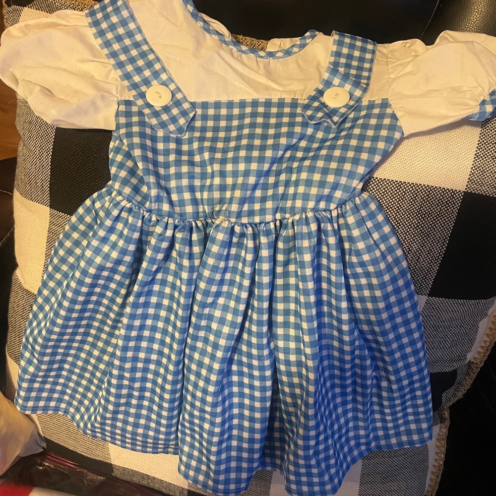 Wizard of Oz Dorothy Costume. Rubie’s size 2-4 toddler. Dress only.
